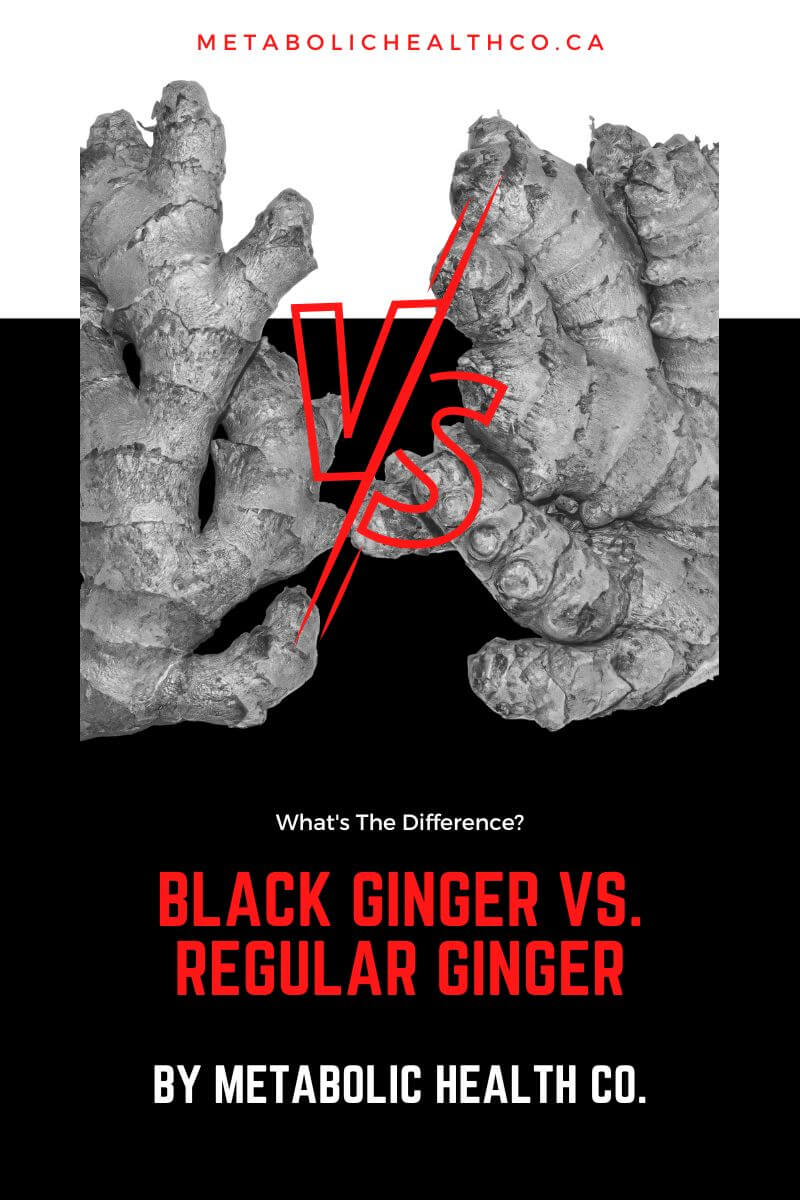 Black Ginger vs. Regular Ginger - Metabolic Health Co.